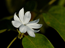 %_tempFileName01-20051218-0195%
