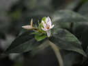 %_tempFileName02-20071216-0322%