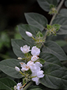 %_tempFileName03-20080320-0210%