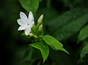 %_tempFileName05-20081124-0201%