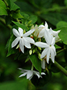 %_tempFileName06-20081124-0202%