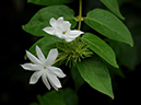 %_tempFileName08-20090503-0269%