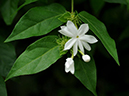 %_tempFileName09-20090506-0228%