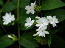 %_tempFileName10-20091223-0130%