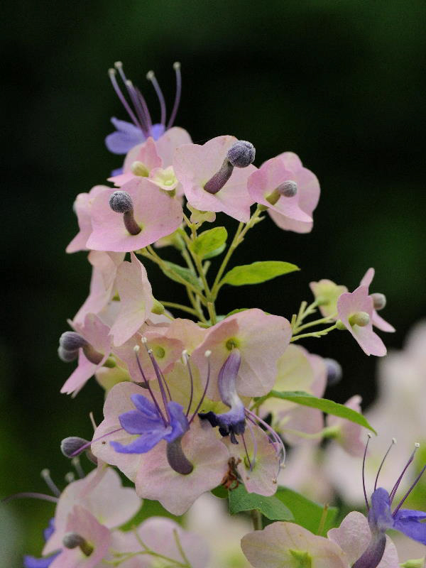 %_tempFileName03-20090725-0535%