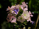 %_tempFileName01-20080907-0103%