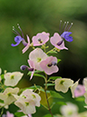 %_tempFileName05-20090802-0258%