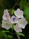 %_tempFileName07-20100627-0125%