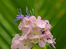 %_tempFileName08-20110423-0226%