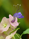 %_tempFileName10-20110423-0231%
