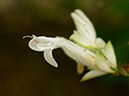 %_tempFileName02-20150621-0270%