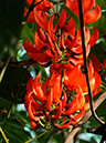 %_tempFileName02-20101121-0280%