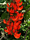 %_tempFileName03-20101204-0170%