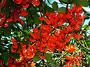 %_tempFileName04-20101204-0172%