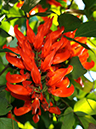 %_tempFileName05-20101204-0174%