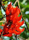 %_tempFileName06-20101219-0229%