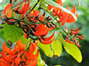 %_tempFileName07-20111120-0176%