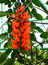%_tempFileName08-20141124-0152%