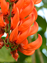 %_tempFileName09-20141124-0158%