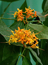 %_tempFileName05-20050303-0310%