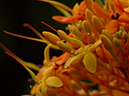%_tempFileName06-20050303-0334%