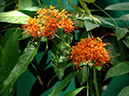 %_tempFileName07-20050312-0270%
