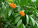 %_tempFileName09-20050312-0329%