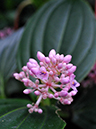 %_tempFileName01-20080127-0266%