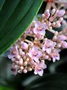 %_tempFileName03-20071216-0308%