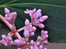 %_tempFileName04-20080127-0267%