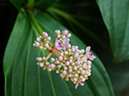 %_tempFileName06-20091108-0203%