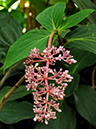 %_tempFileName08-20101226-0177%