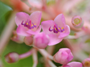 %_tempFileName09-20110911-0058%