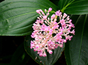 %_tempFileName10-20120902-0063%