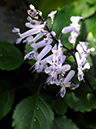 %_tempFileName02-20080302-0268%