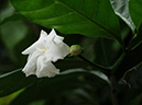 %_tempFileName02-20120115-0194%