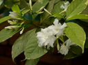 %_tempFileName07-20150621-0274%