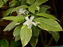 %_tempFileName09-20150705-0506%