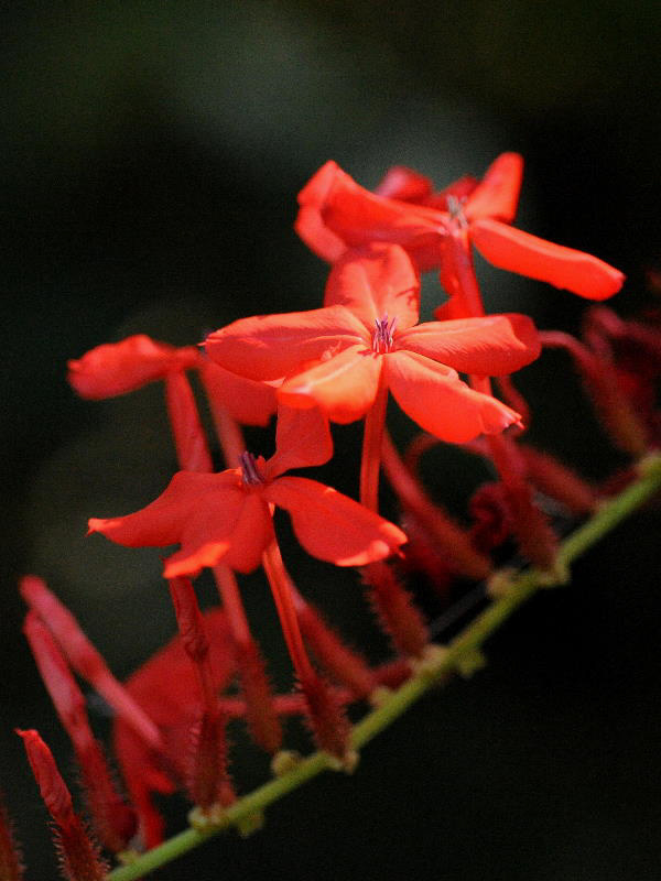 %_tempFileName10-20111218-0451%