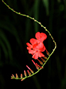 %_tempFileName06-20090307-0265%
