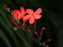 %_tempFileName07-20090315-0113%