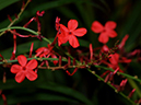 %_tempFileName08-20101211-0257%