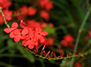%_tempFileName09-20101223-0175%