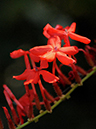 %_tempFileName10-20111218-0451%