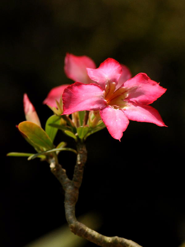 %_tempFileName08-20110505-0435%