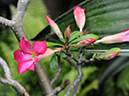 %_tempFileName02-20080622-0187%