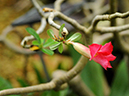 %_tempFileName04-20100627-0096%