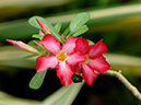 %_tempFileName05-20100711-0167%