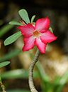 %_tempFileName06-20100808-0168%