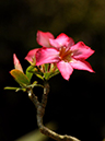 %_tempFileName08-20110505-0435%